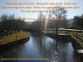 /album/galeria-de-fotos/ninguem-ignora-gif/
